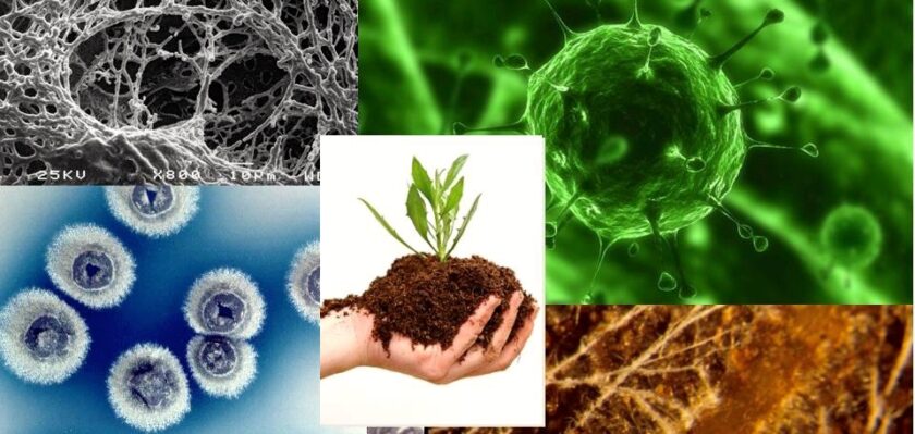 Agricultural Microbials