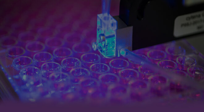 Cell Line Development