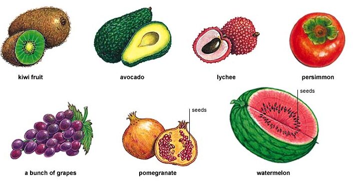 Fruit and Vegetable Seeds