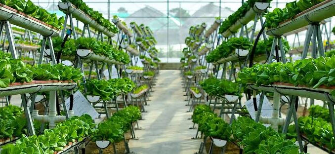 Indoor Farming Technology