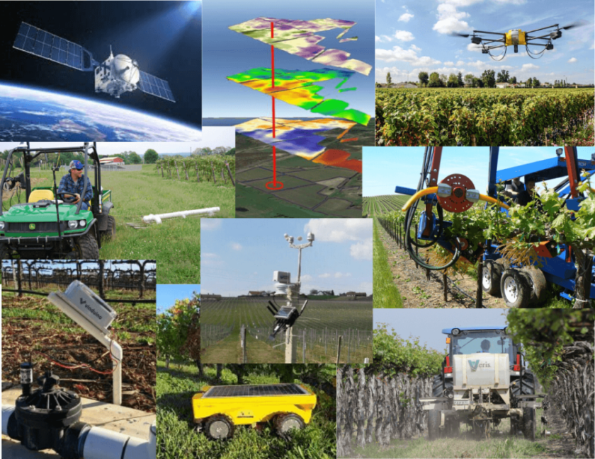 Precision Viticulture