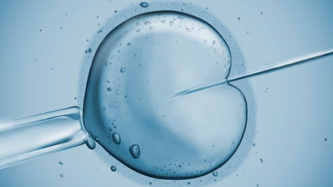 Global In-Vitro Fertilization Market to Reach $51.51 Billion by 2030 In-Vitro Fertilization