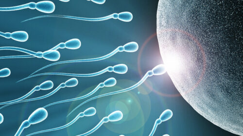 Reproductive Genetics