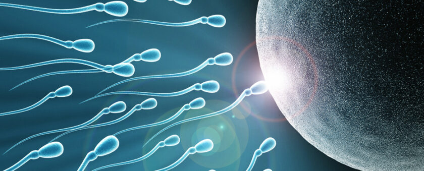Reproductive Genetics
