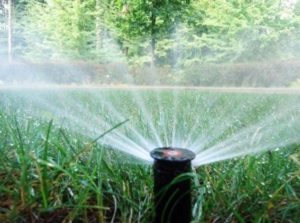 automated irrigation