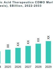 Global Nucleic Acid Therapeutics CDMO Market