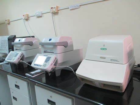 real-time PCR