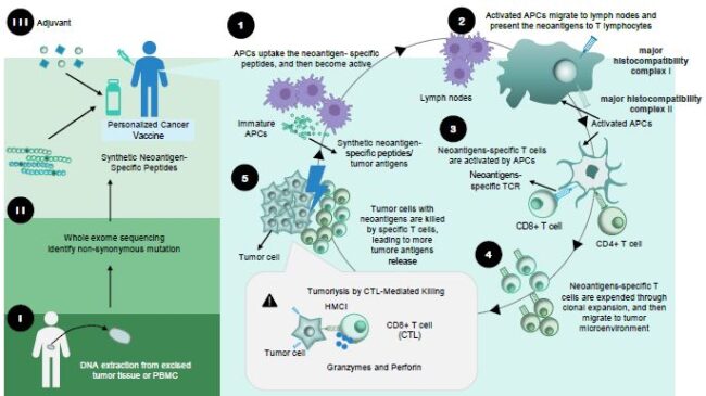 Neoantigen Cancer Vaccines Market