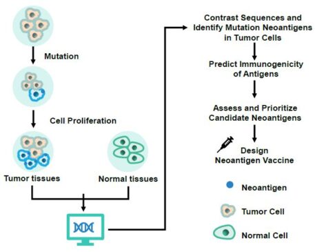 Neoantigen cancer vaccines market