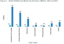 Global 2D Materials Market (by End User)