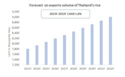 Forecast on exports volume of Thailand rice
