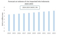 Indonesia Rice Industry