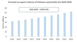 Vietnam Automobile Tire Industry