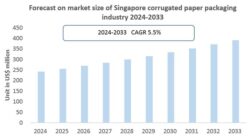 Singapore Corrugated Packaging market size