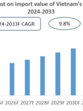 Vietnam Fuses Import Research Report 2024-2033