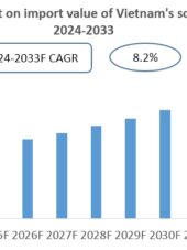 Vietnam Soap Import Research Report 2024-2033