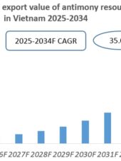 Vietnam Antimony Industry Research Report 2025-2034