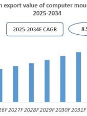 Vietnam Computer Mouse Industry Research Report 2025-2034