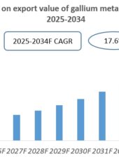 Vietnam Gallium Metal Industry Research Report 2025-2034