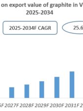 Vietnam Graphite Industry Research Report 2025-2034