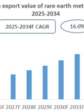 Vietnam Rare Earth Industry Research Report 2025-2034
