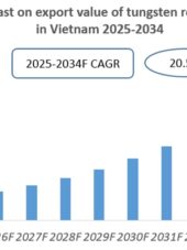 Vietnam Tungsten Industry Research Report 2025-2034
