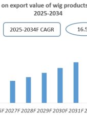 Vietnam Wig Products Industry Research Report 2025-2034
