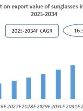 Vietnam Sunglasses Industry Research Report 2025-2034