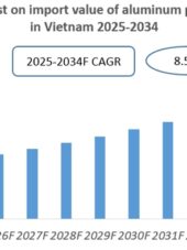 Vietnam Aluminum Powder Import Research Report 2025-2034