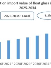 Vietnam Float Glass Industry Research Report 2025-2034