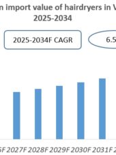 Vietnam Hairdryer Industry Research Report 2025-2034