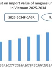 Vietnam Magnesium Powder Import Research Report 2025-2034