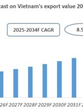 Vietnam Cross-border Logistics Industry Research Report 2025-2034