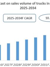Vietnam Light Truck Industry Research Report 2025-2034