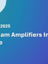 Vietnam Amplifiers Import Guide 2023-2025