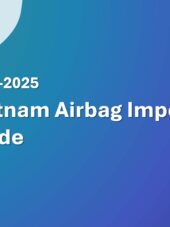 Vietnam Airbag Import Guide 2023-2025