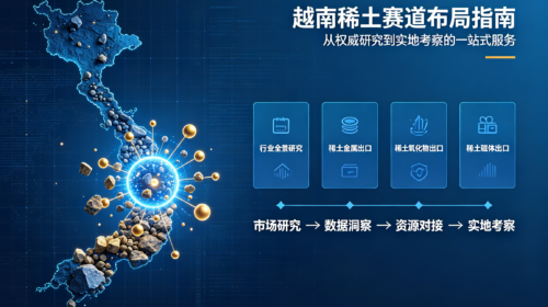 Vietnam Rare Earth Industry Research Services