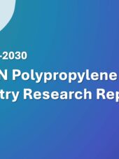 ASEAN Polypropylene (PP) Industry Research Report 2026-2030