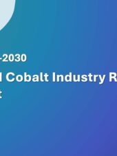 ASEAN Cobalt Industry Research Report 2026-2030