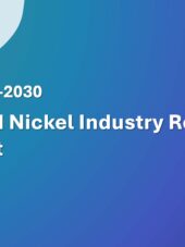 ASEAN Nickel Resource Industry Research Report 2026-2030
