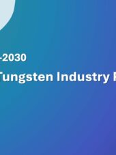 ASEAN Tungsten Industry Research Report 2026-2030