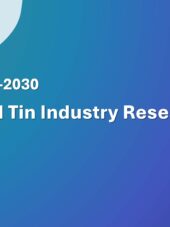 ASEAN Tin Industry Research Report 2026-2030