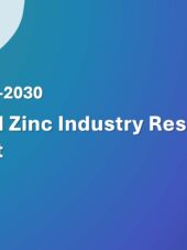 ASEAN Zinc Industry Research Report 2026-2030