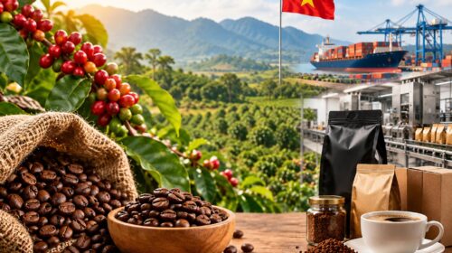 Vietnam’s Coffee Industry: 3 Investment Opportunities