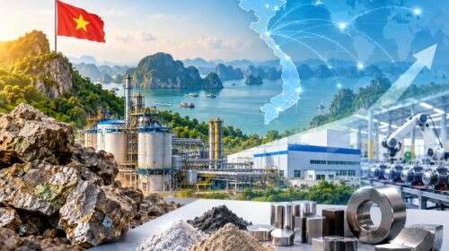 Vietnam Rare Earth Investment Opportunities: Supply Chain Analysis